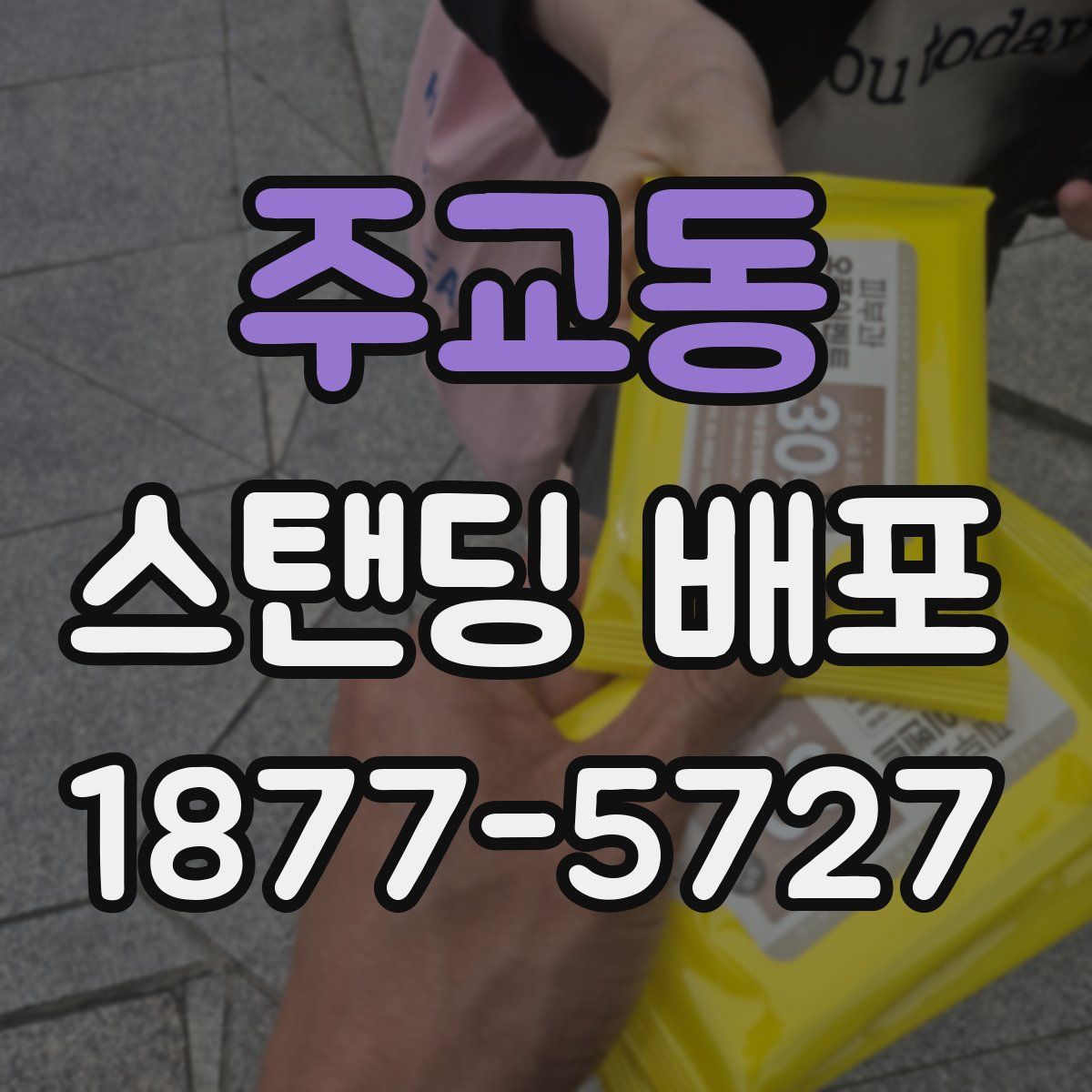 주교동 스탠딩 배포