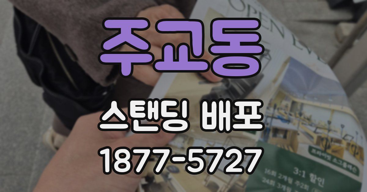 주교동 스탠딩 배포