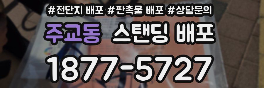 주교동 스탠딩 배포