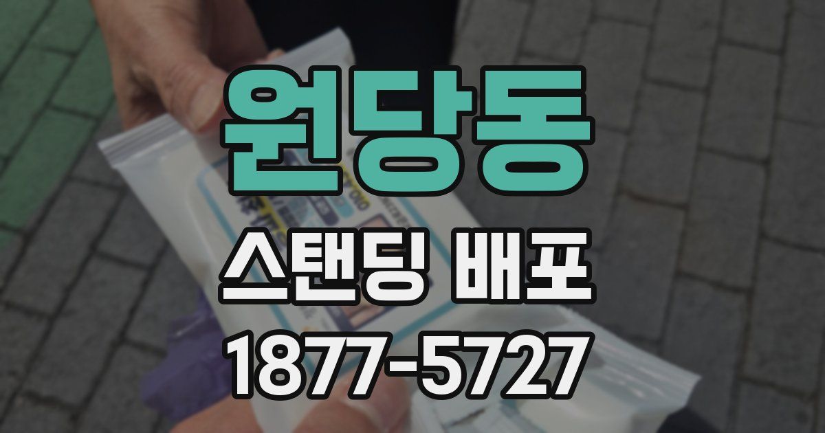 원당동 스탠딩 배포