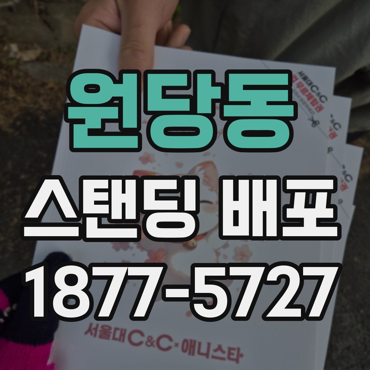 원당동 스탠딩 배포