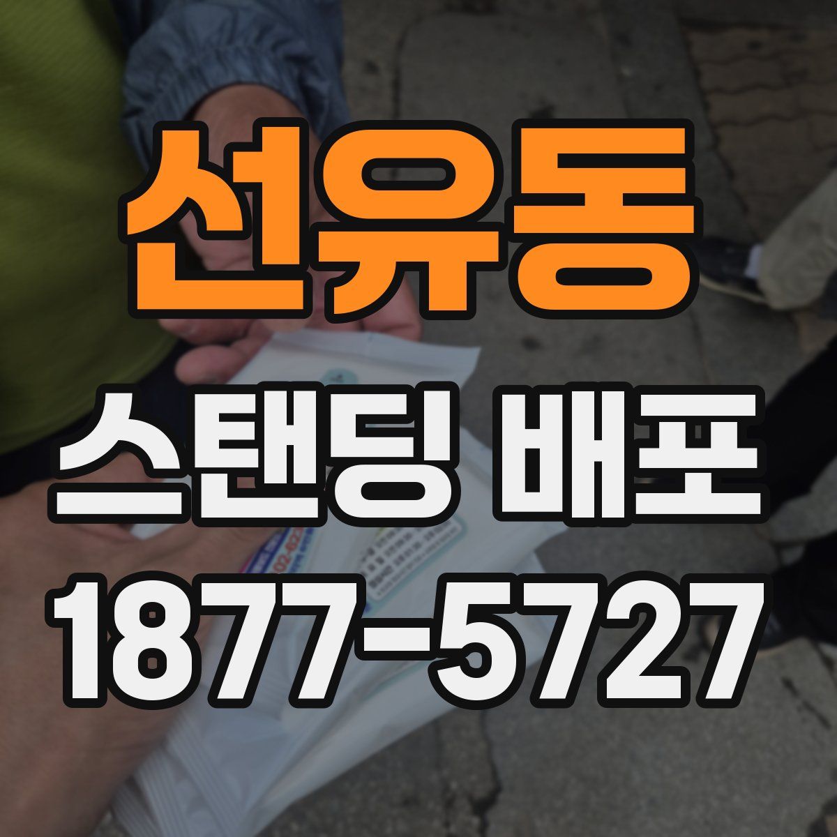 선유동 스탠딩 배포