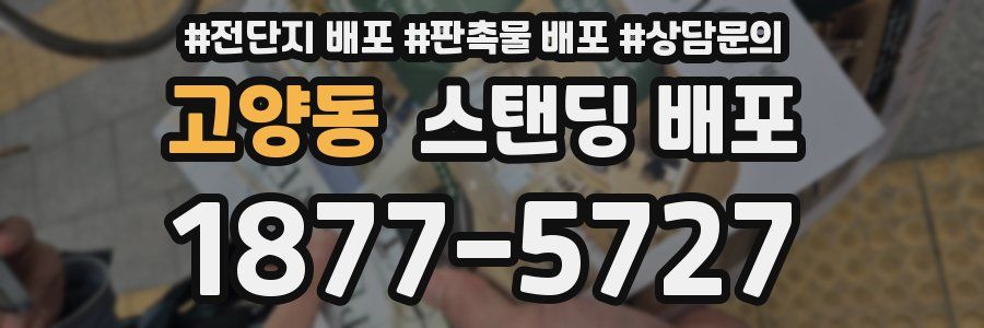 고양동 스탠딩 배포