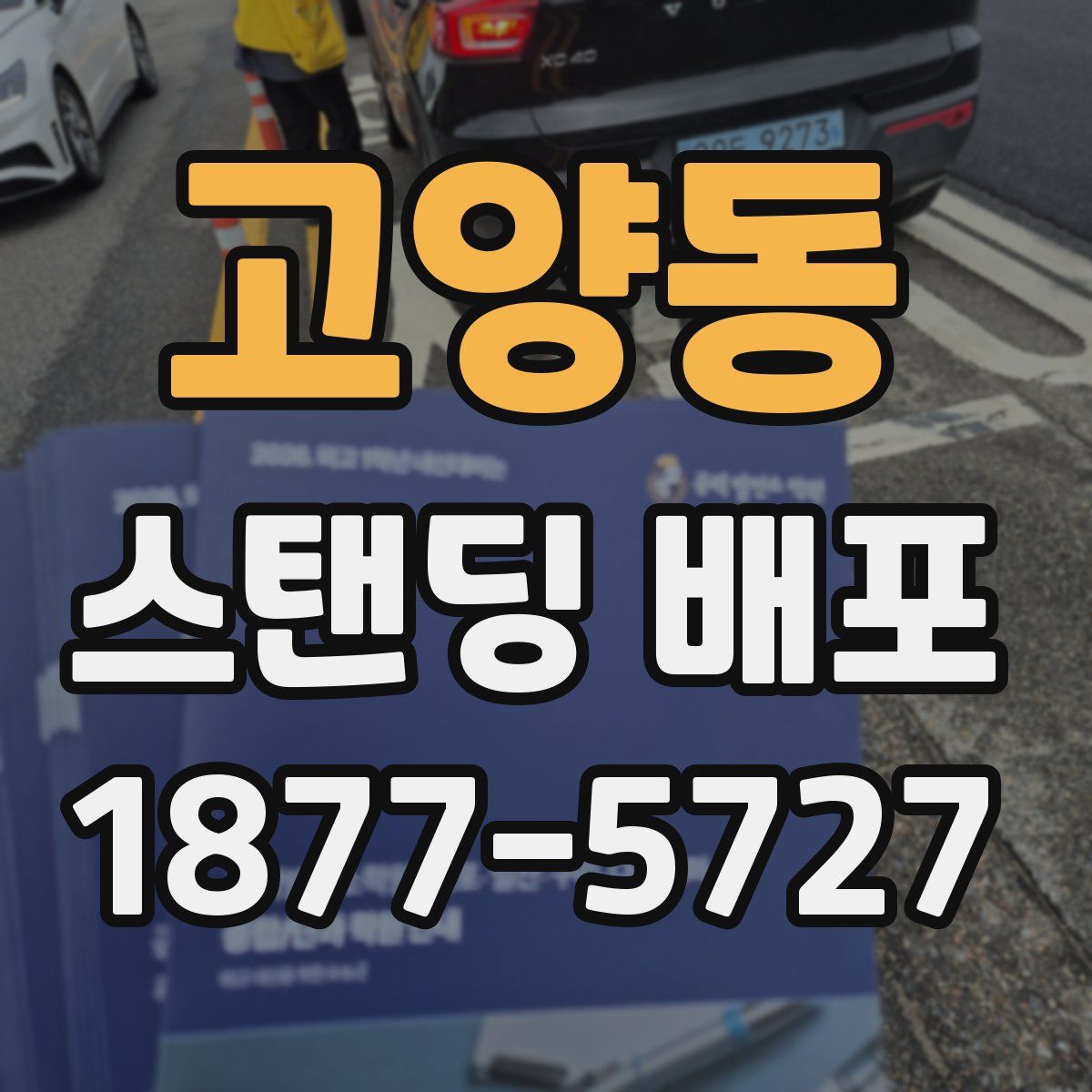 고양동 스탠딩 배포