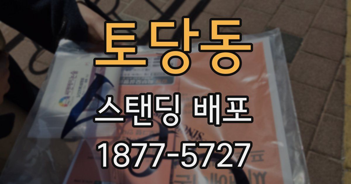 토당동 스탠딩 배포