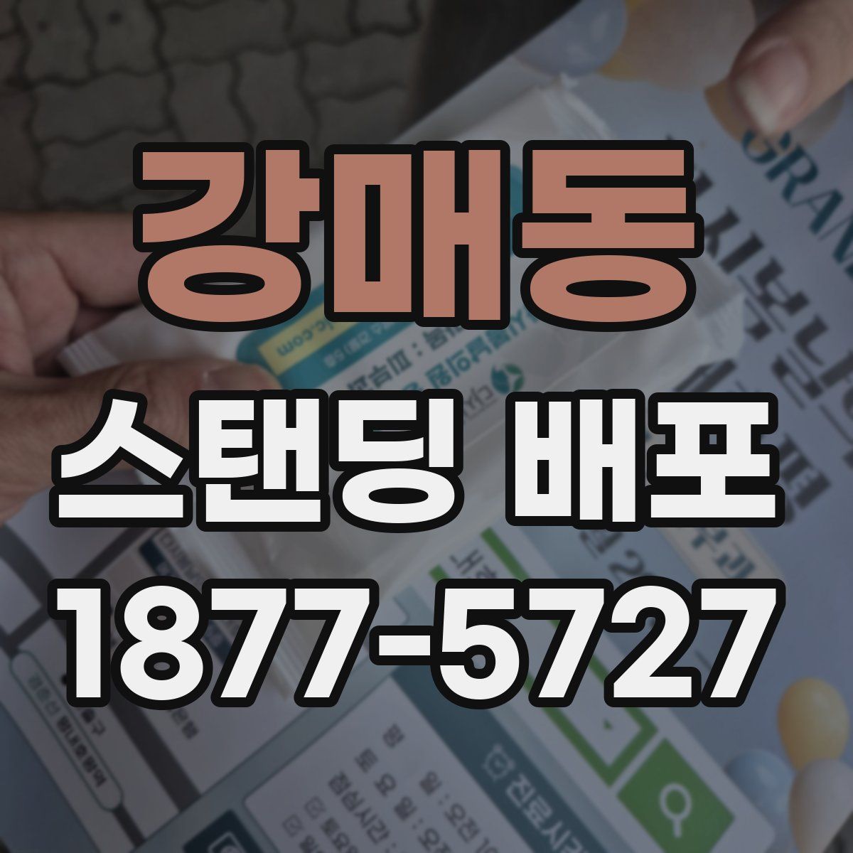 강매동 스탠딩 배포