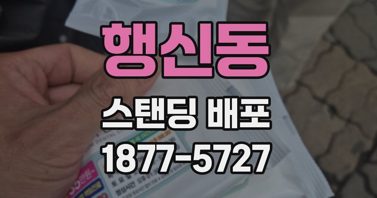 행신동 스탠딩 배포