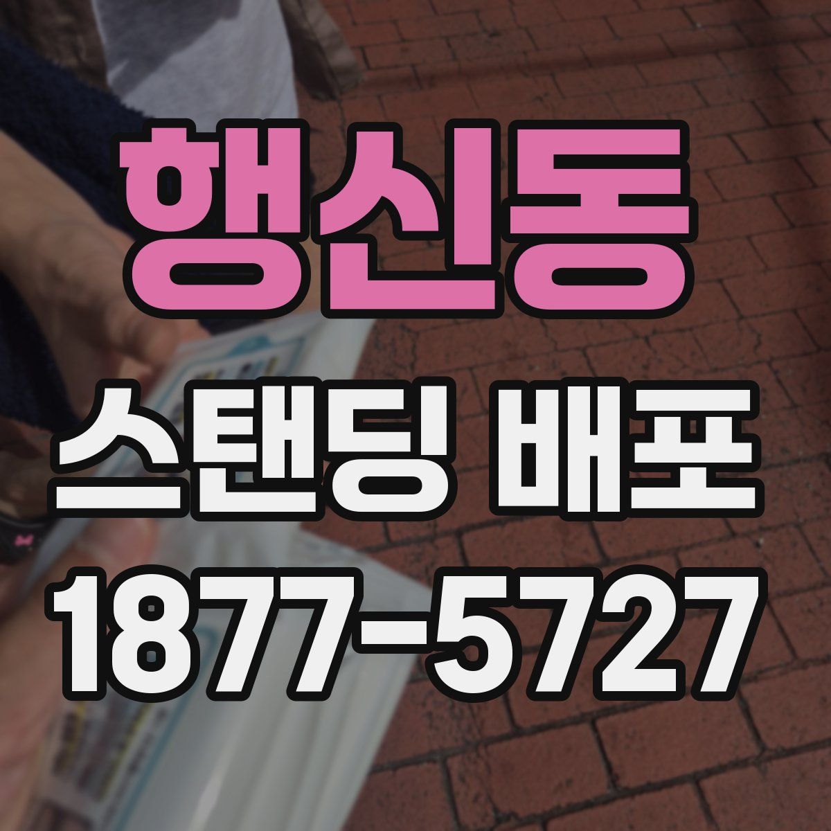 행신동 스탠딩 배포