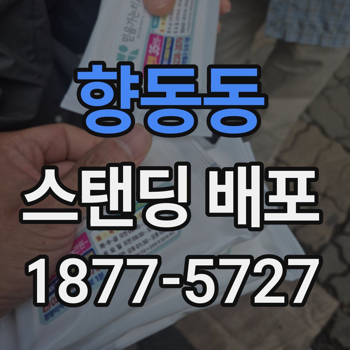 향동동 스탠딩 배포