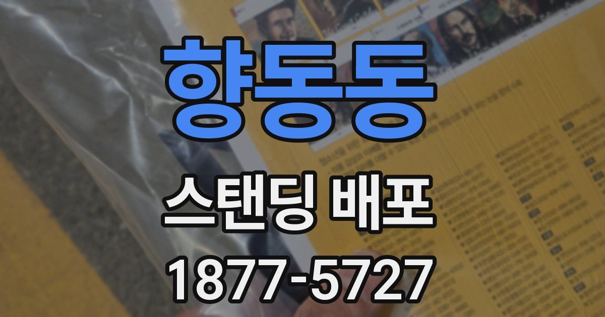 향동동 스탠딩 배포