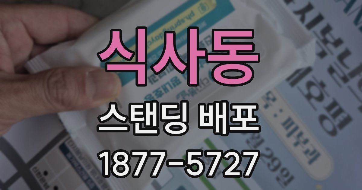 식사동 스탠딩 배포
