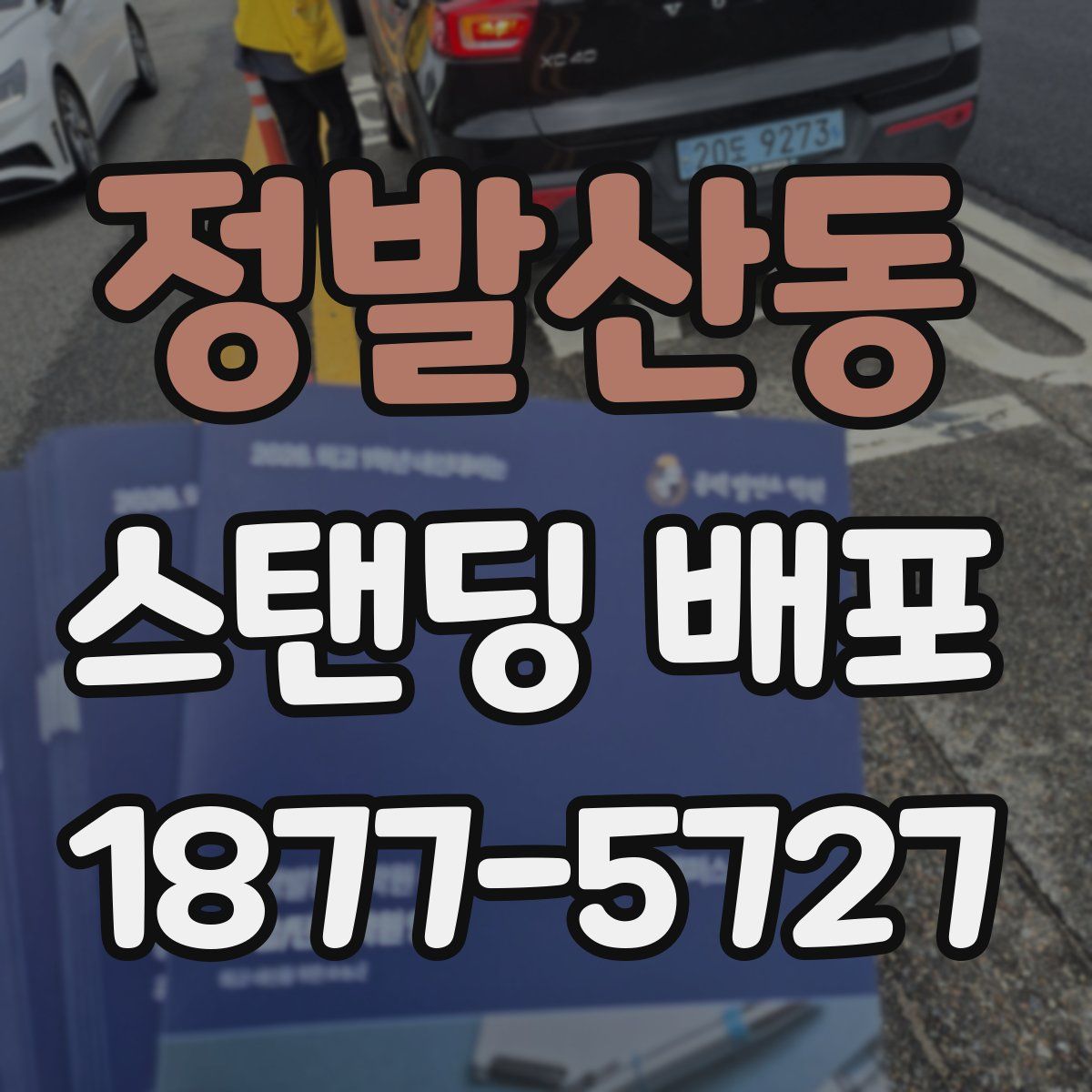 정발산동 스탠딩 배포