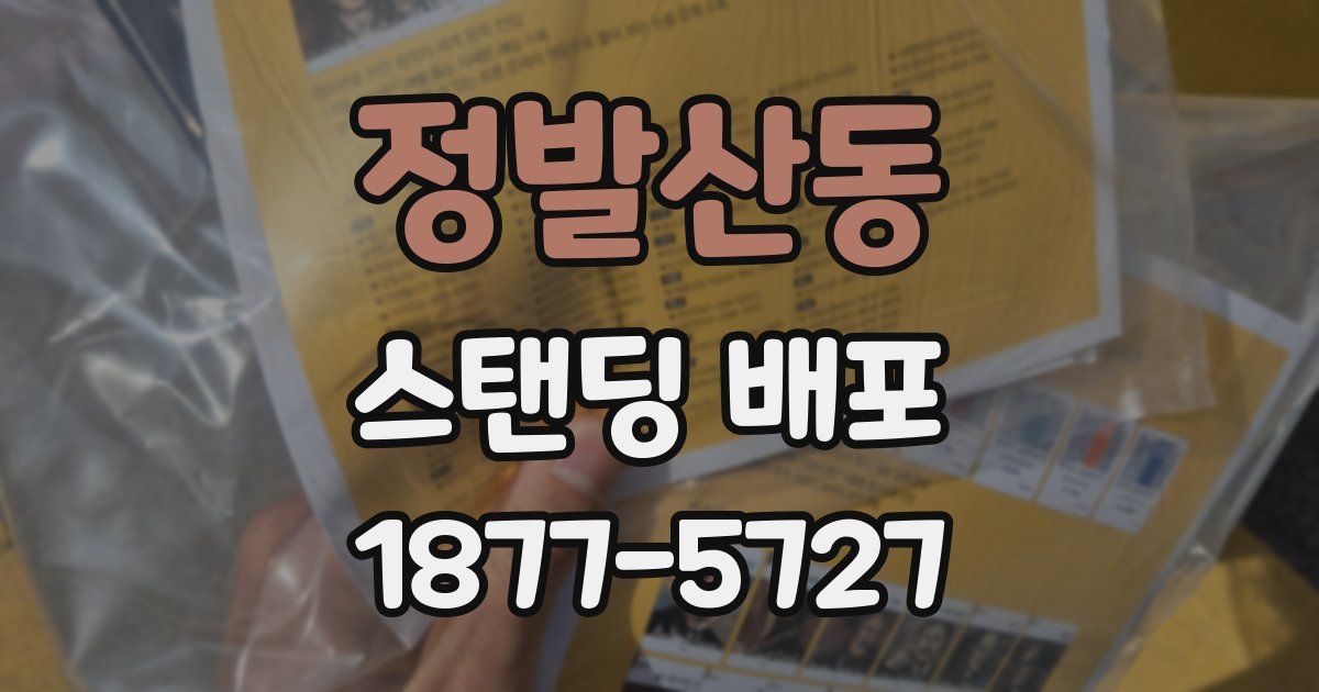 정발산동 스탠딩 배포