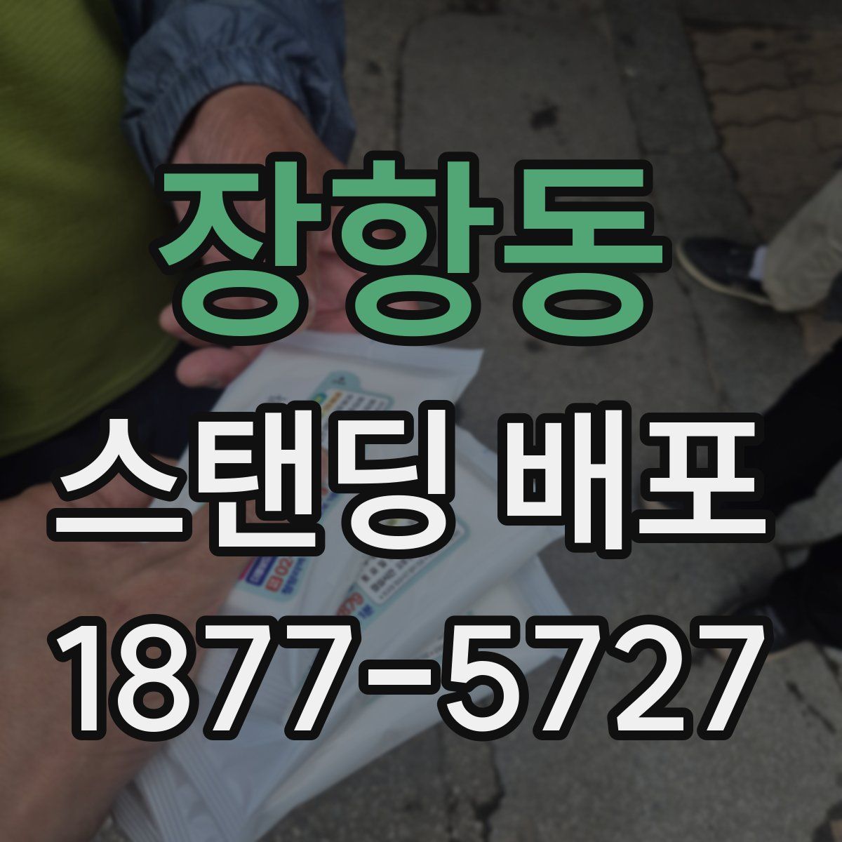 장항동 스탠딩 배포