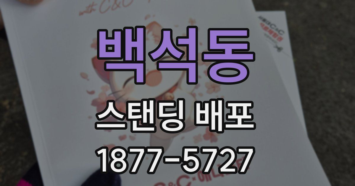 백석동 스탠딩 배포