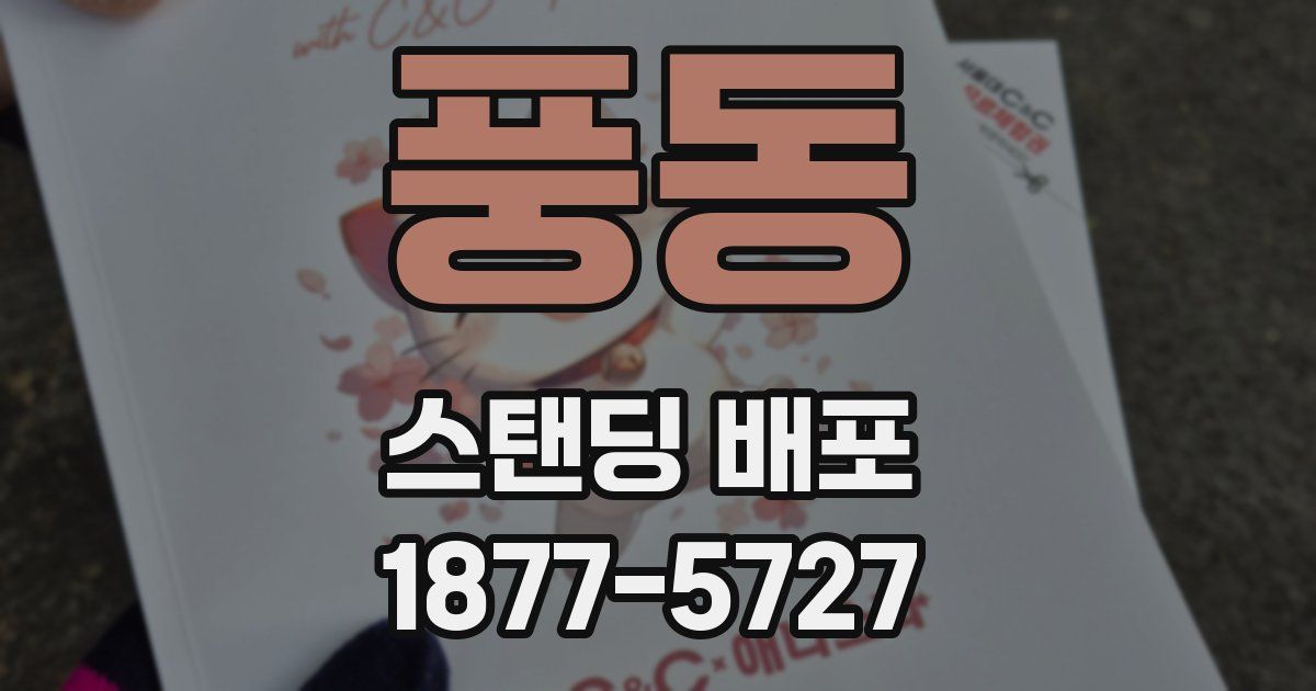 풍동 스탠딩 배포
