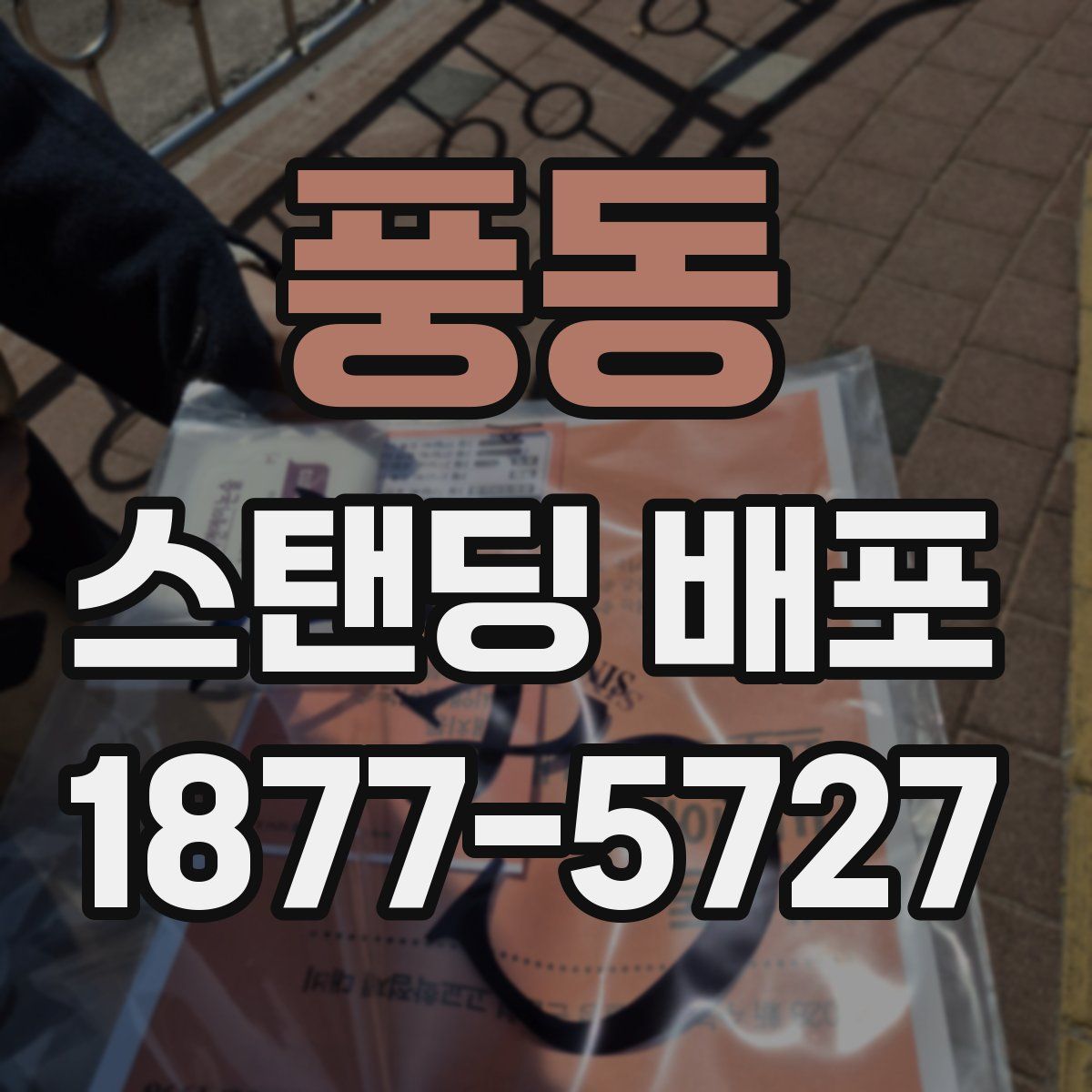 풍동 스탠딩 배포