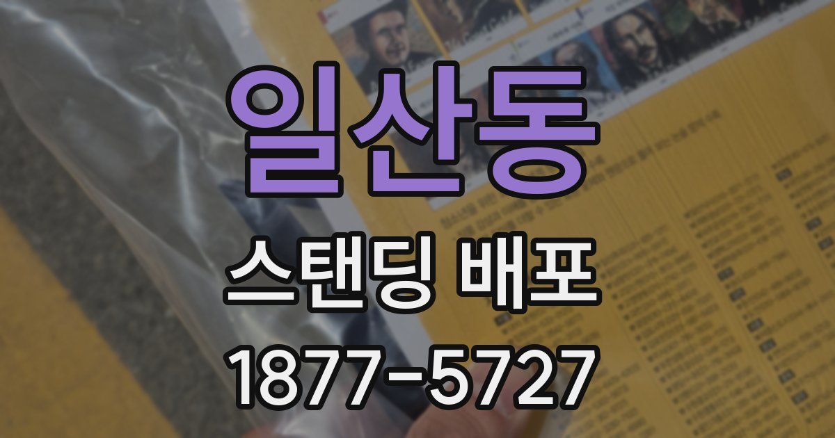 일산동 스탠딩 배포