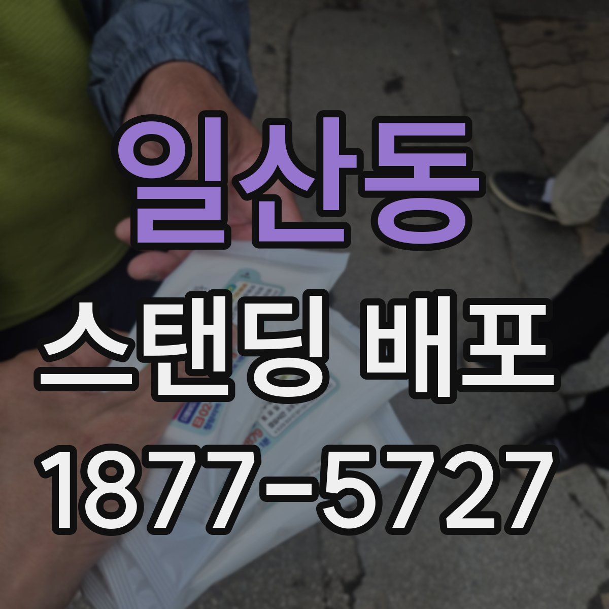 일산동 스탠딩 배포