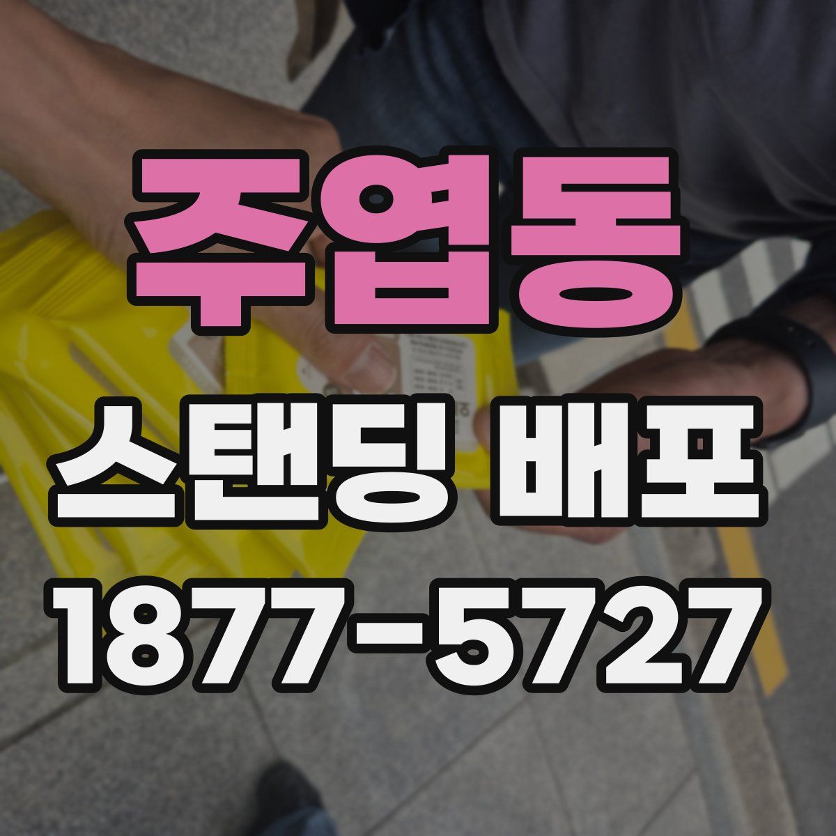 주엽동 스탠딩 배포