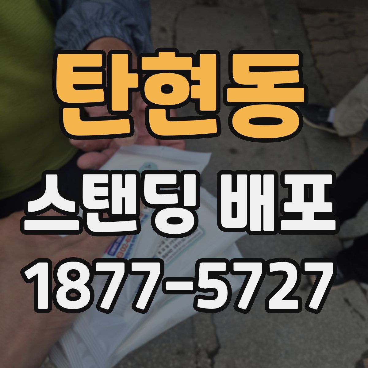 탄현동 스탠딩 배포