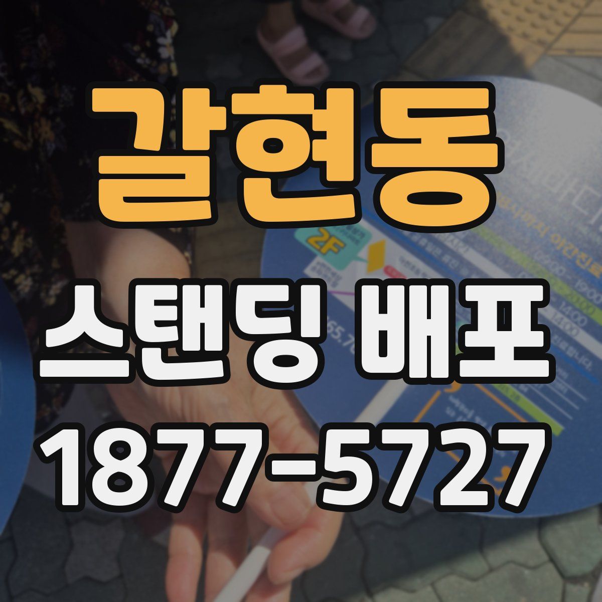 갈현동 스탠딩 배포