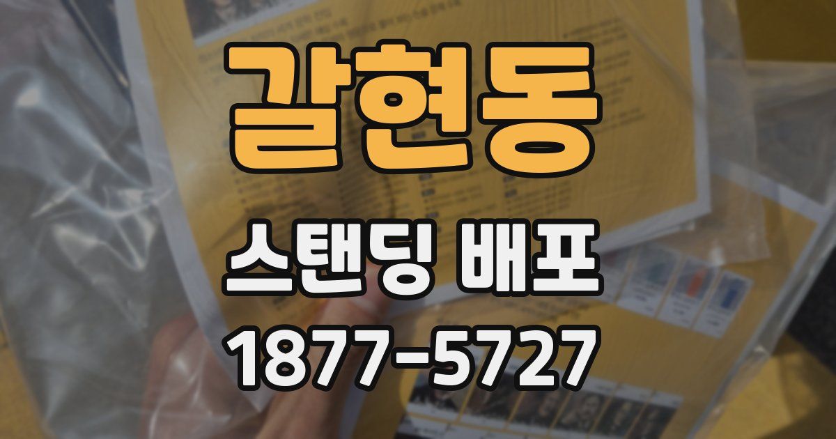 갈현동 스탠딩 배포