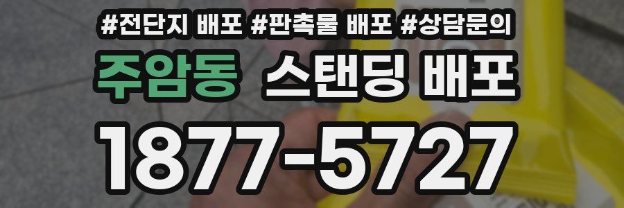 주암동 스탠딩 배포