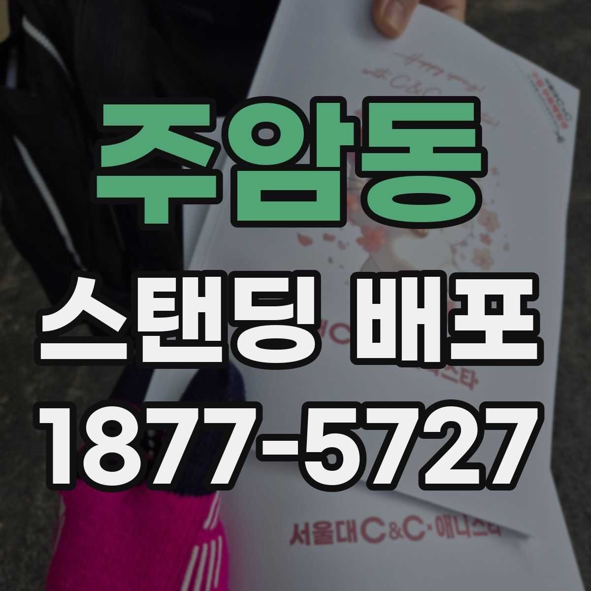 주암동 스탠딩 배포