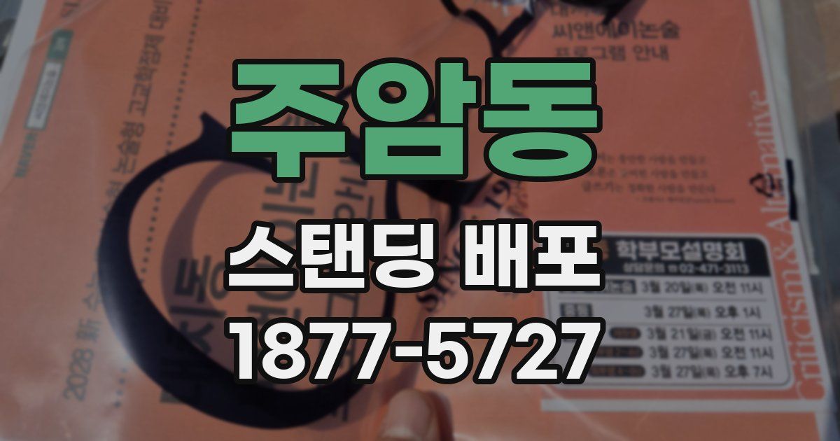주암동 스탠딩 배포