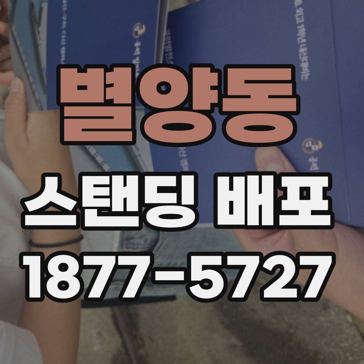 별양동 스탠딩 배포