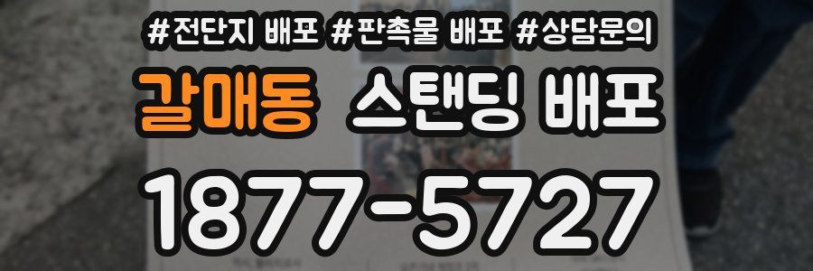 갈매동 스탠딩 배포
