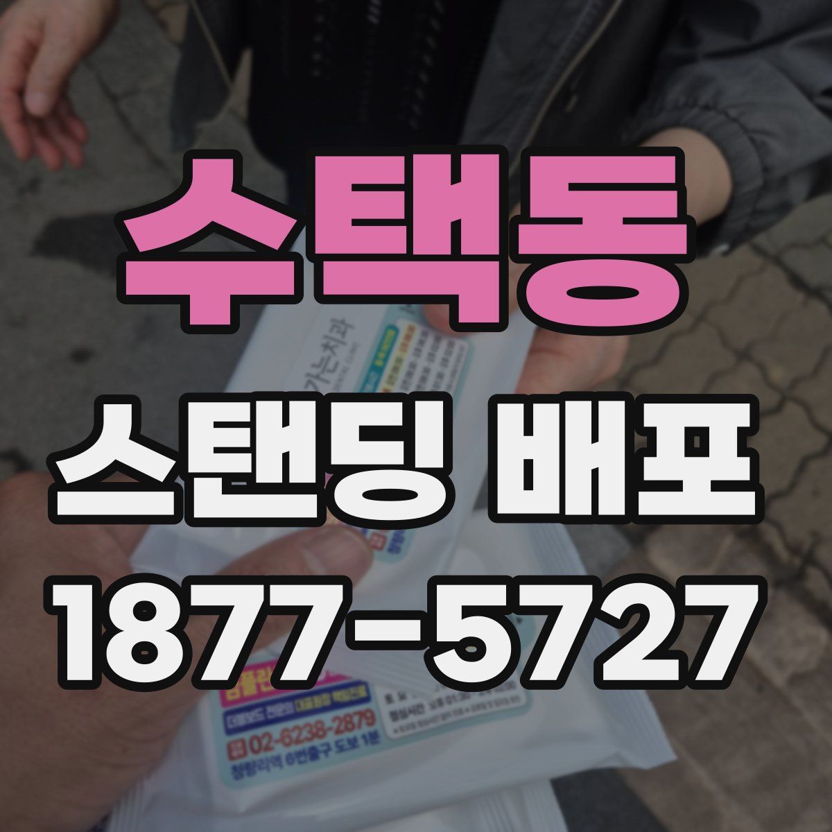 수택동 스탠딩 배포
