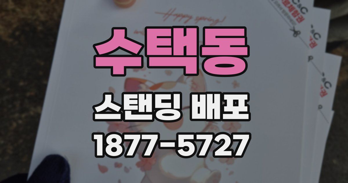 수택동 스탠딩 배포