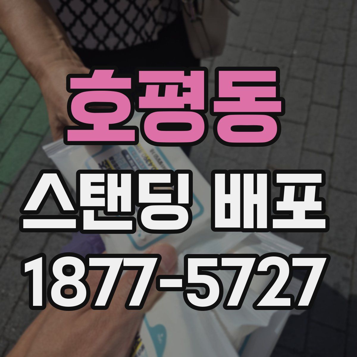 호평동 스탠딩 배포