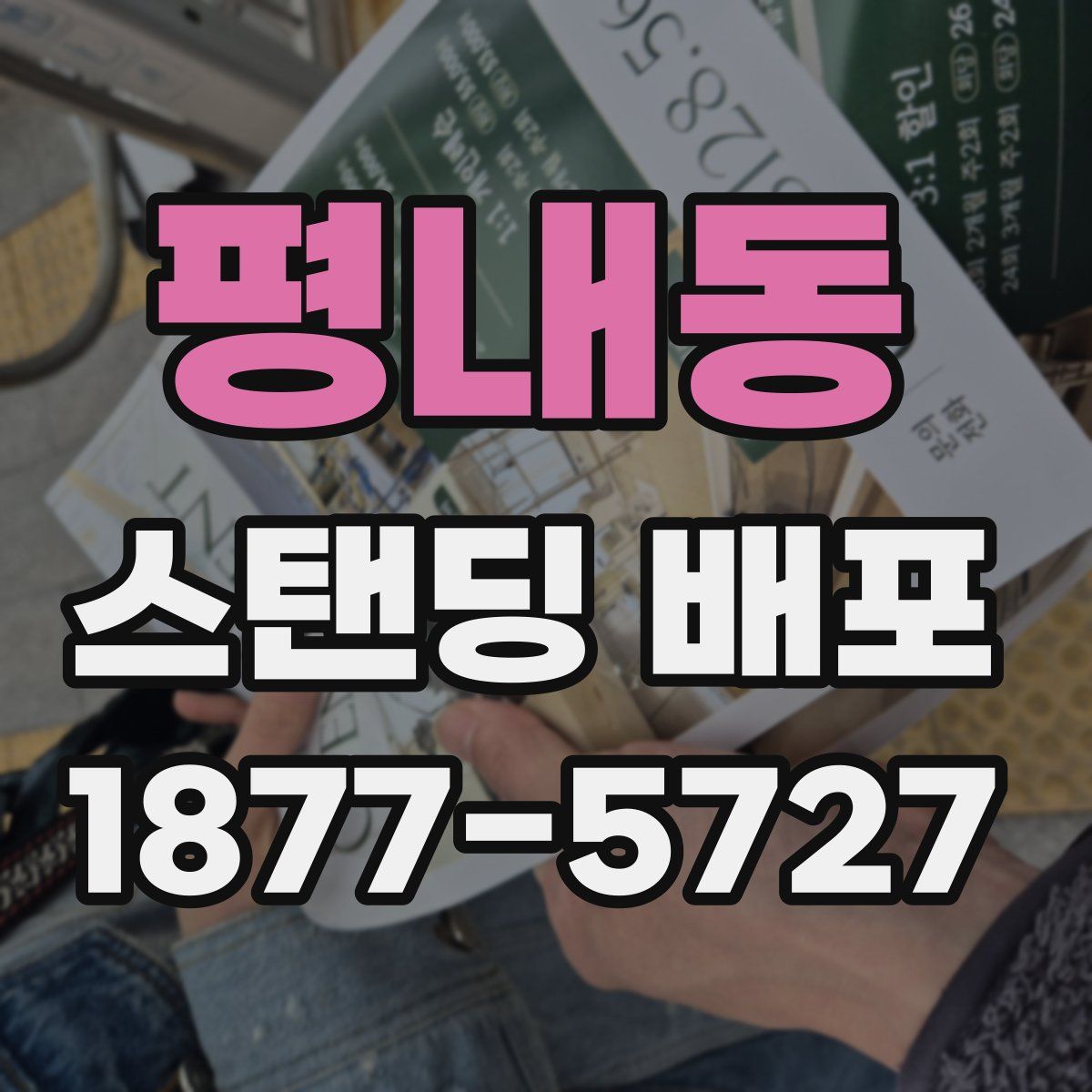 평내동 스탠딩 배포
