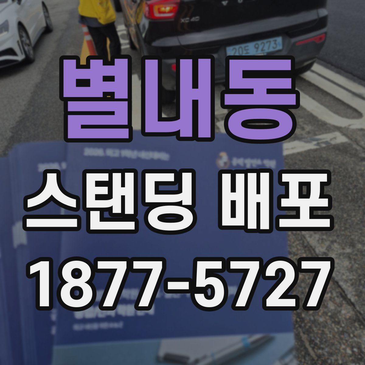 별내동 스탠딩 배포