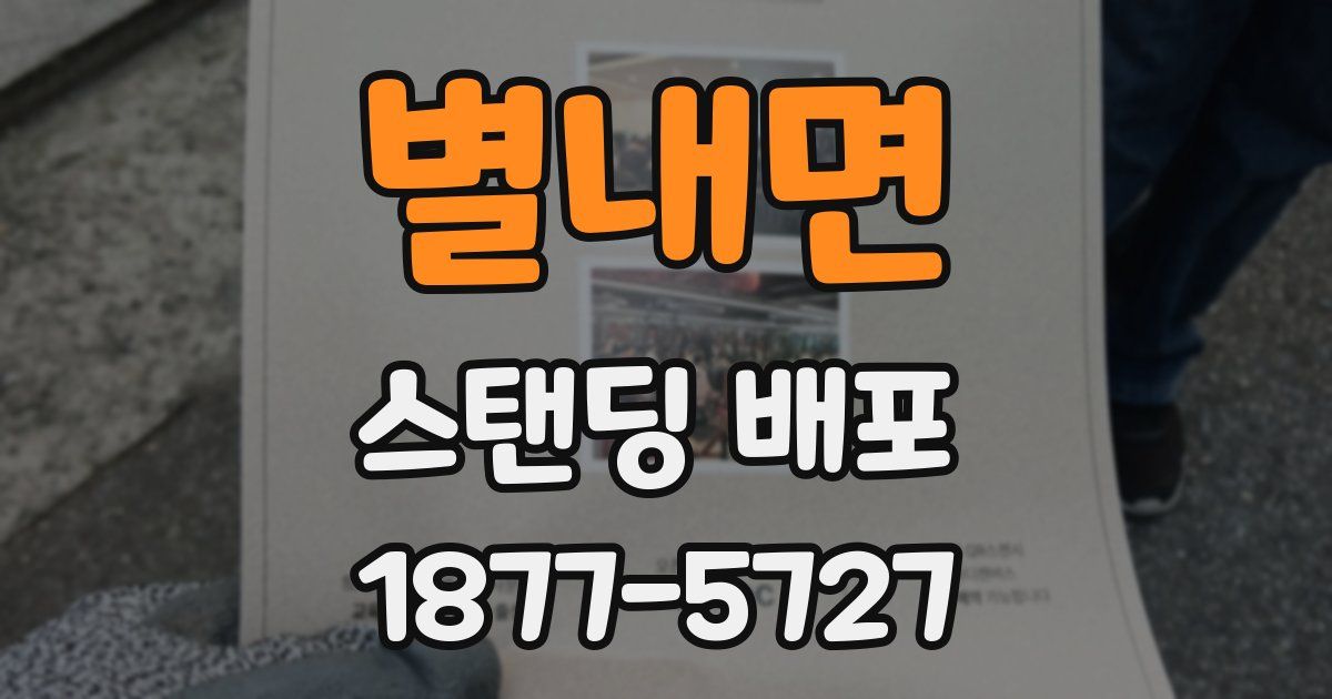 별내면 스탠딩 배포