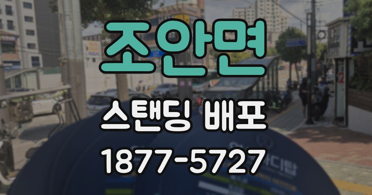 조안면 스탠딩 배포