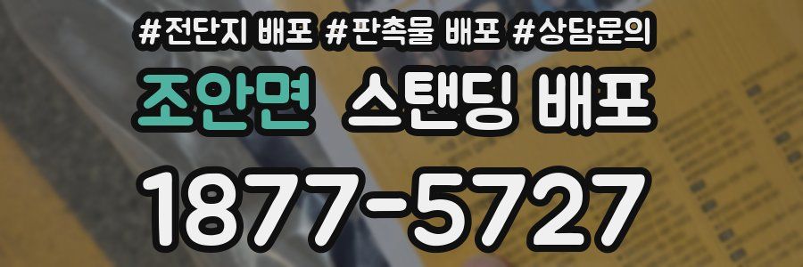 조안면 스탠딩 배포