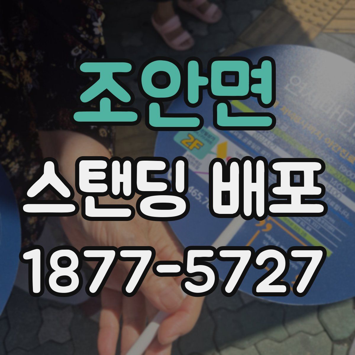 조안면 스탠딩 배포