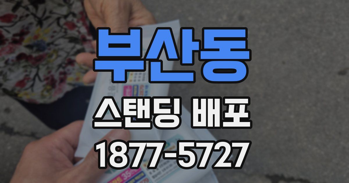 부산동 스탠딩 배포
