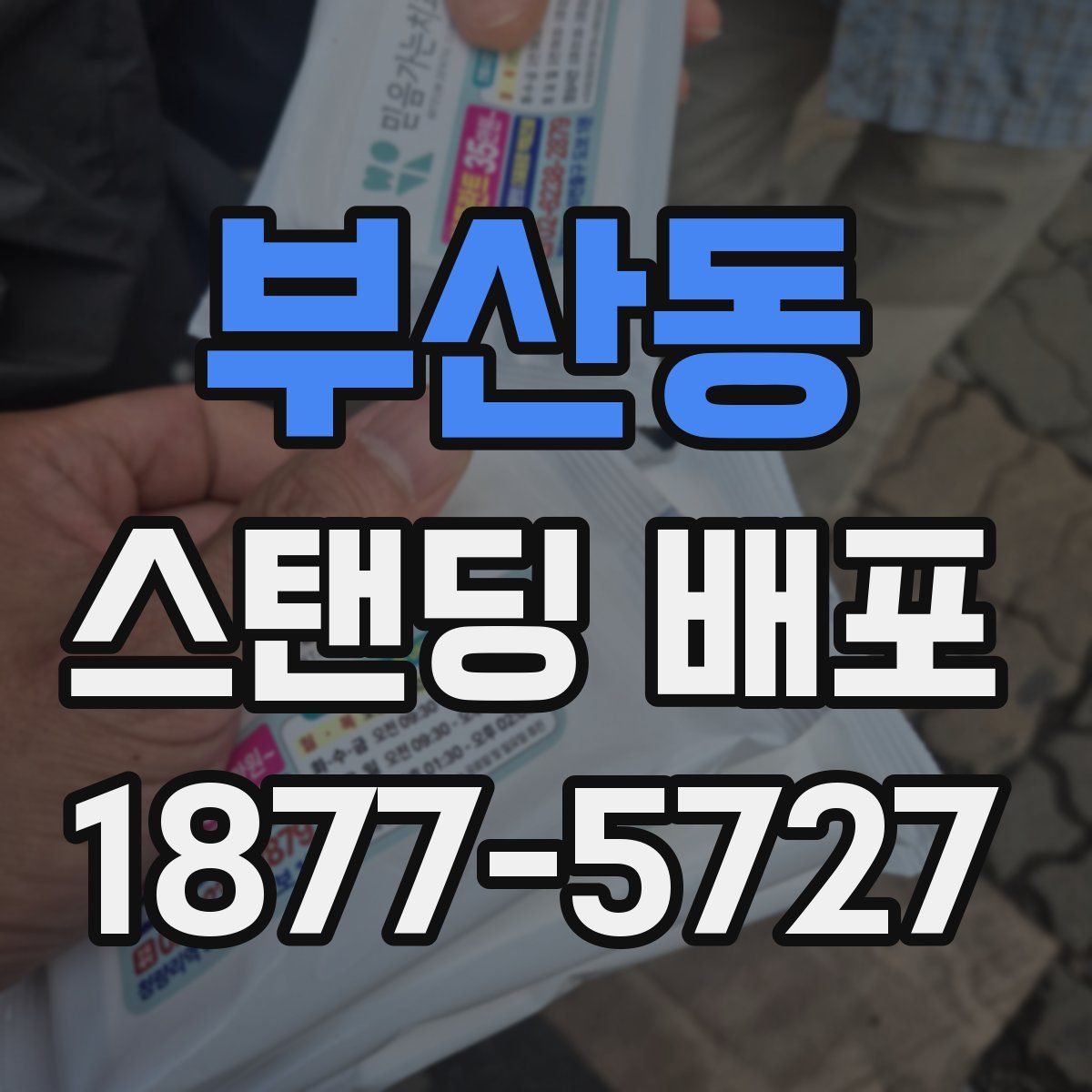 부산동 스탠딩 배포