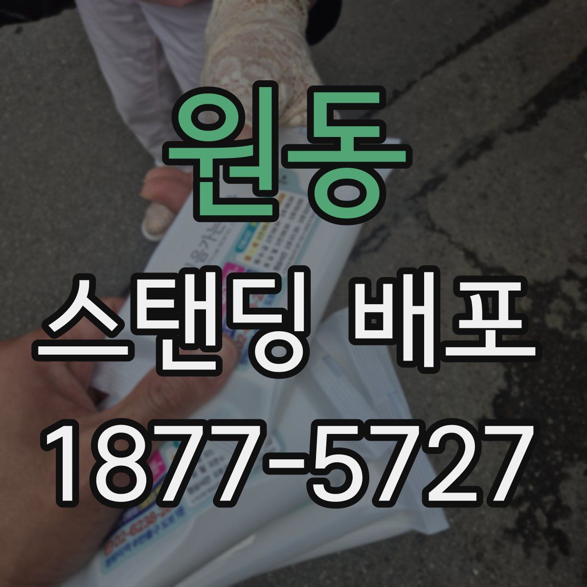 원동 스탠딩 배포