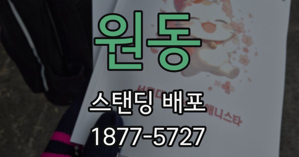 원동 스탠딩 배포