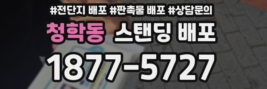 청학동 스탠딩 배포