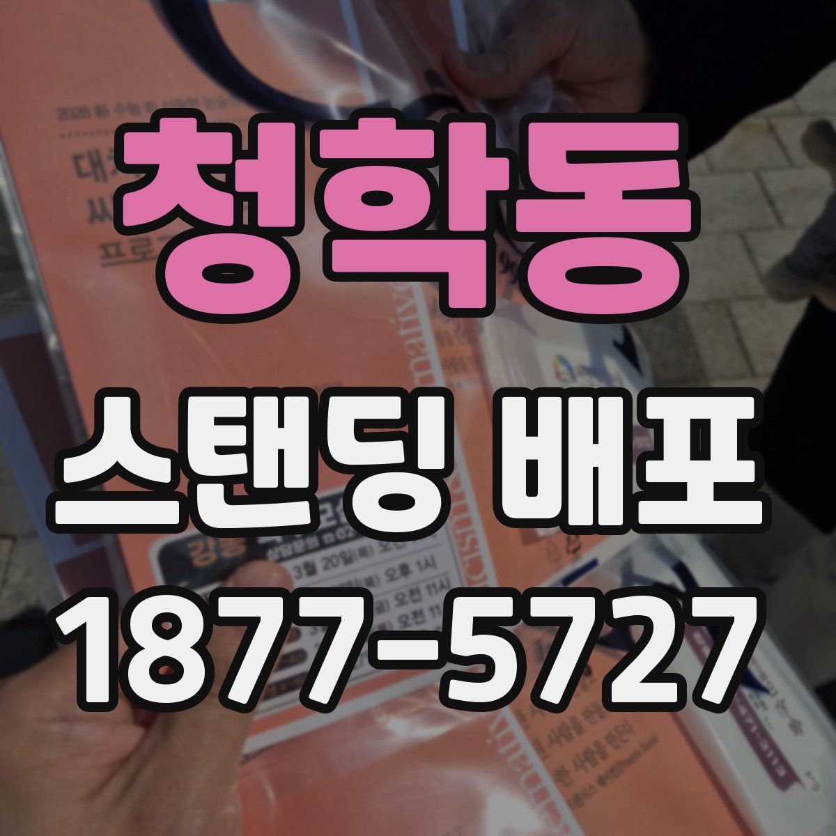 청학동 스탠딩 배포