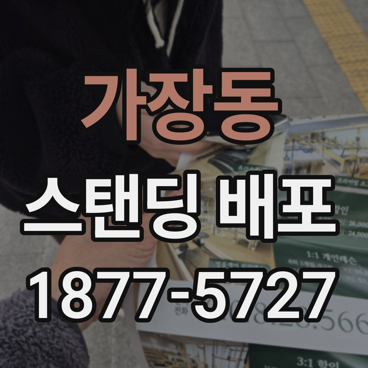 가장동 스탠딩 배포