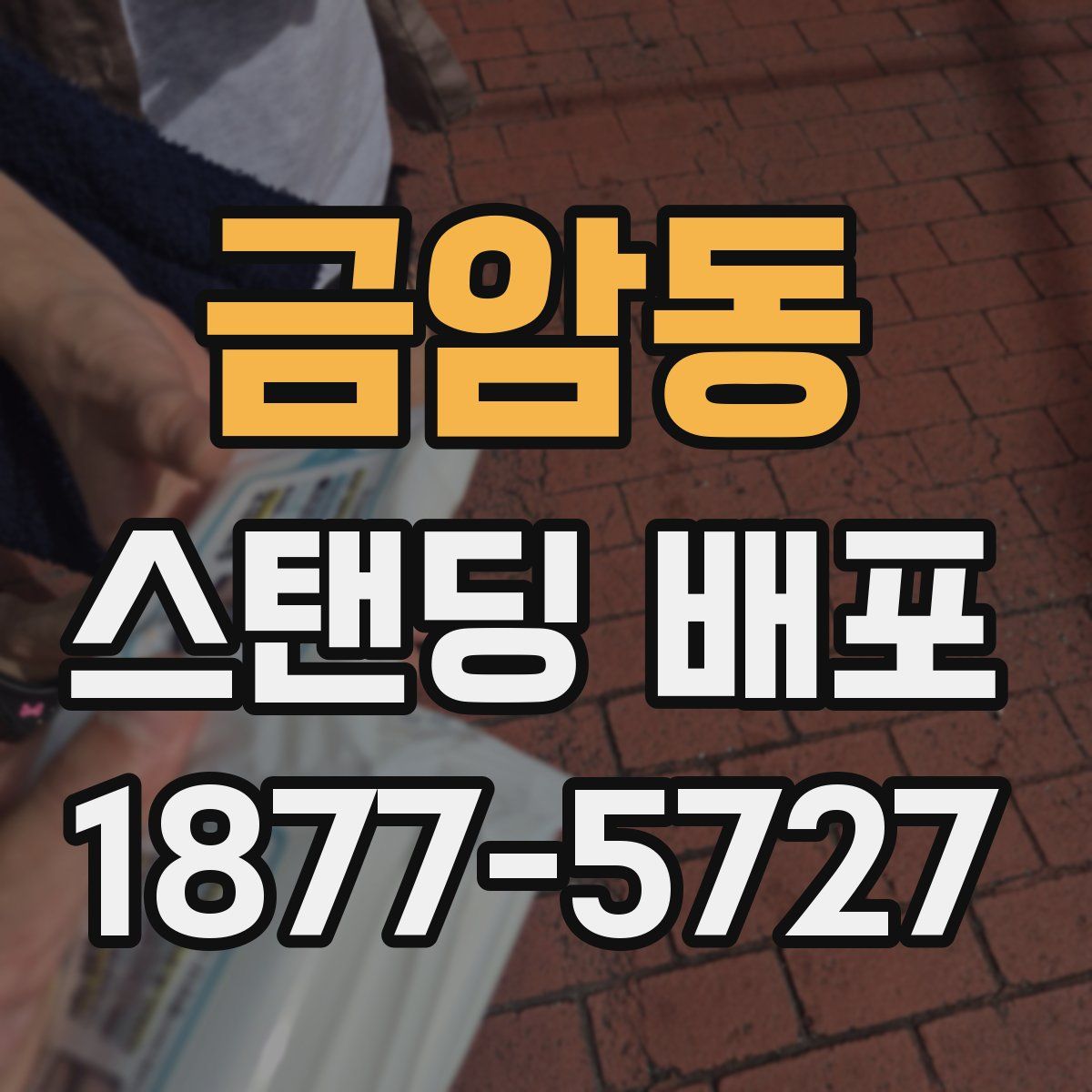 금암동 스탠딩 배포