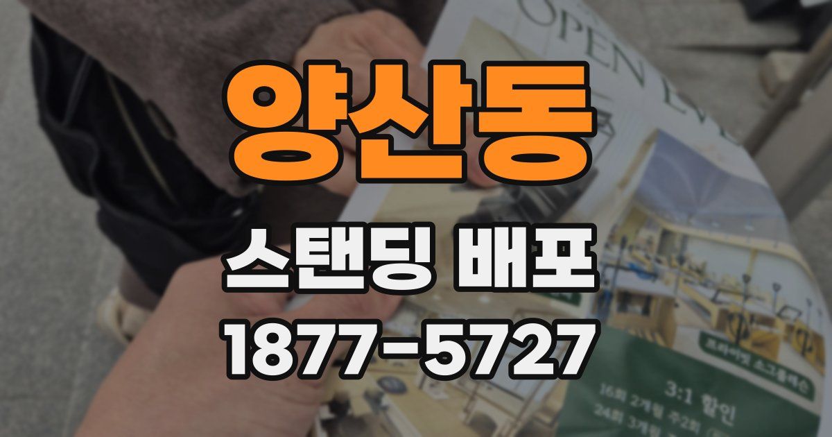 양산동 스탠딩 배포